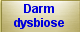 Darmdysbiose