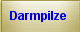 Darmpilze